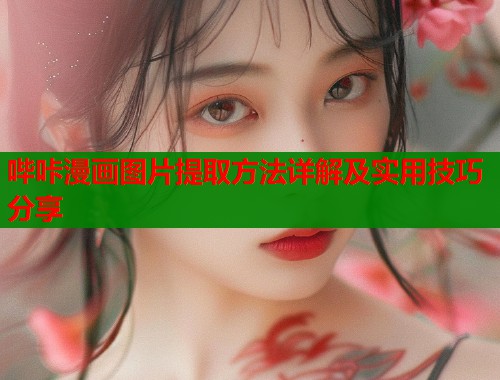 哔咔漫画图片提取方法详解及实用技巧分享  第2张