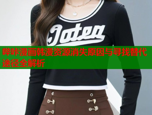 哔咔漫画韩漫资源消失原因与寻找替代途径全解析